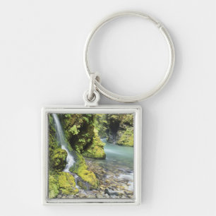 Washington, Olympic National Park, Seasonal Keychain