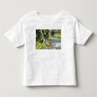 Washington, Olympic National Park, Seasonal