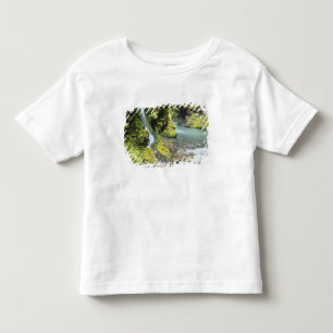 Washington, Olympic National Park, Seasonal Toddler T-shirt