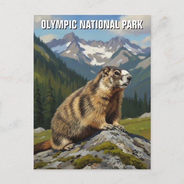 Washington olympic national park travel postcard (Front)