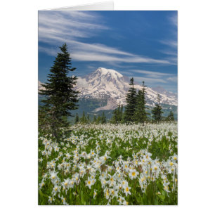 Washington, Parc national du mont Rainier 1