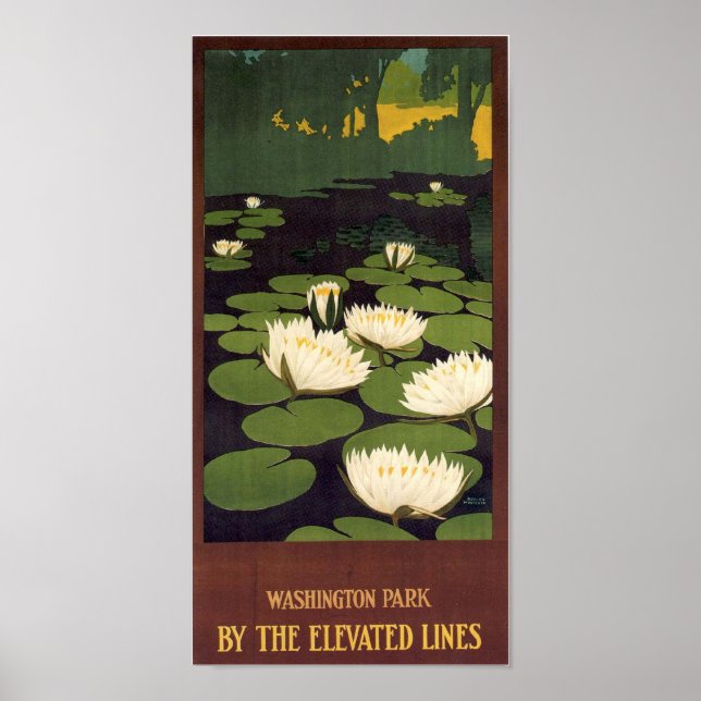 Washington Park Poster (Front)