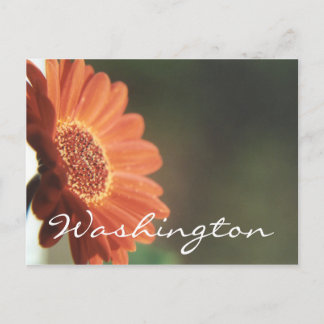 Washington Postcard Orange Flower Template