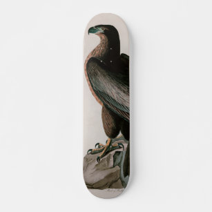 Washington Sea Eagle Birds of America Audubon Prin Skateboard