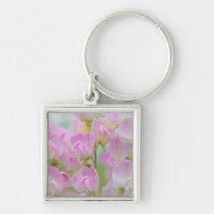 Washington, Seabeck. Detail of sweet pea Keychain