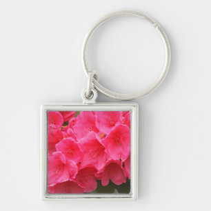 Washington, Seattle, Puget Sound, Discovery Park Keychain