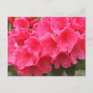 Washington, Seattle, Puget Sound, Discovery Park Postcard