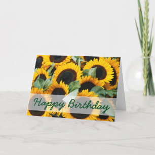 Washington, Seattle, Sunflower for sale pike Card