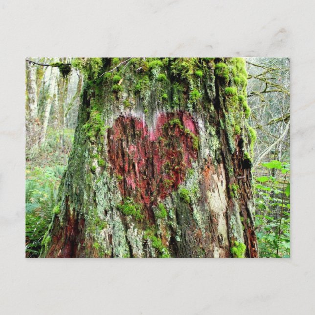 Washington State Postcard: Tree of Love Postcard (Front)