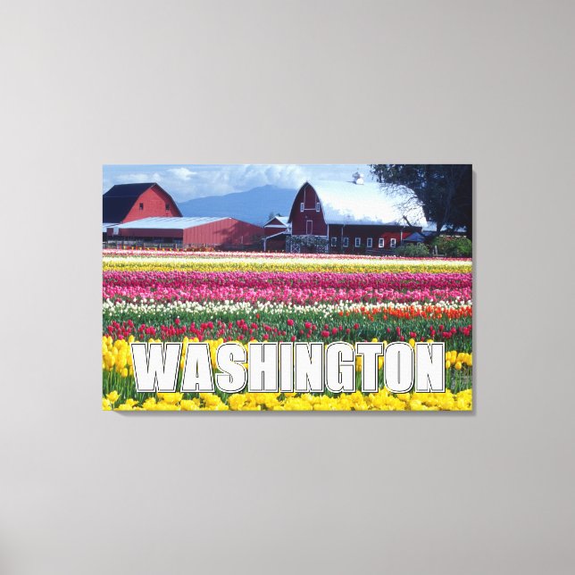 Washington State | Tulip Field Canvas Print (Front)