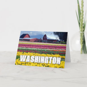 Washington State   Tulip Field   Thank You Card