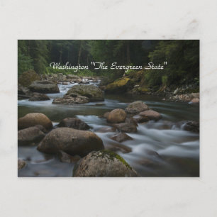 Washington "The Evergreen State" Postcard