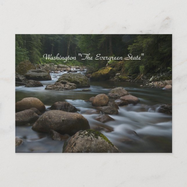 Washington "The Evergreen State" Postcard (Front)