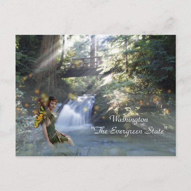Washington "The Evergreen State" Postcard (Front)