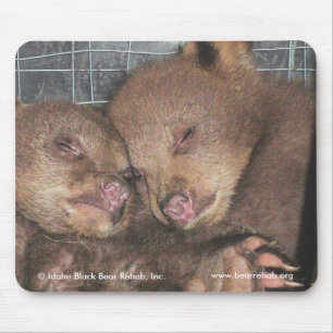 Washington Twins 2010 Mousepad