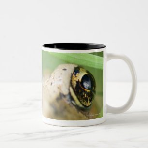 Washington, USA 2 Two-Tone Coffee Mug