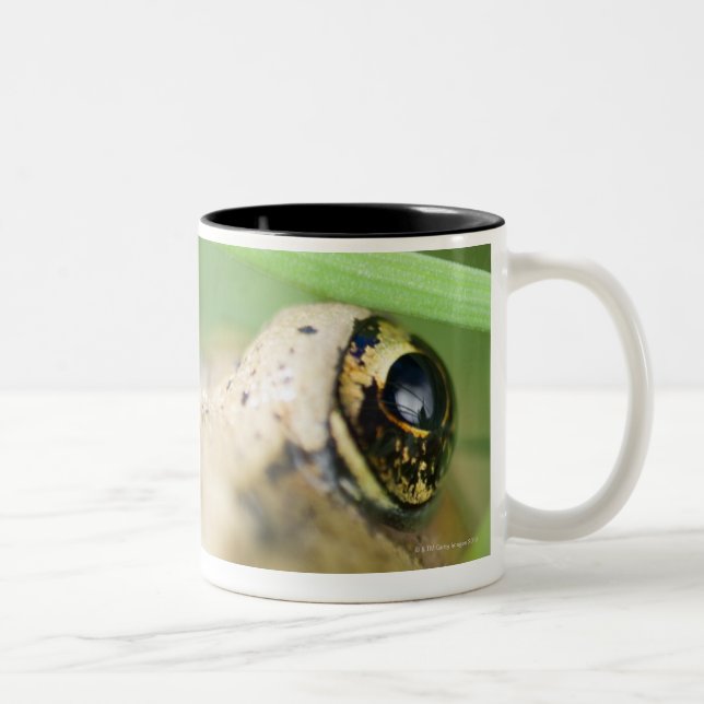 Washington, USA 2 Two-Tone Coffee Mug (Right)