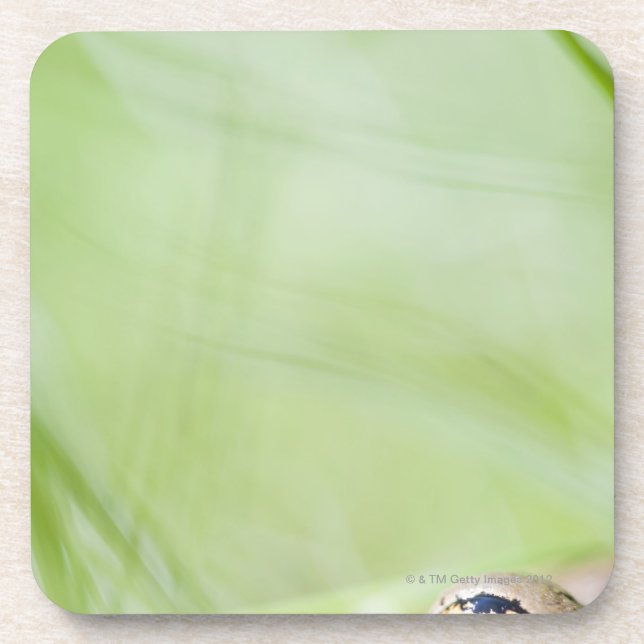 Washington, USA Coaster (Front)