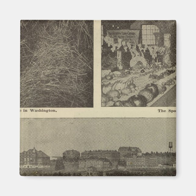 Washington's versatile thrift magnet (Front)