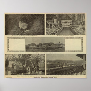 Washington's versatile thrift poster