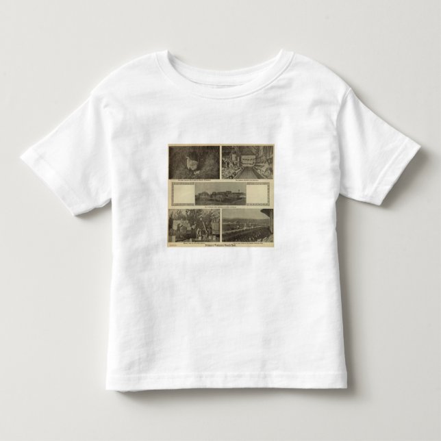 Washington's versatile thrift toddler t-shirt (Front)