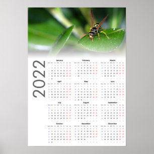 Wasp Calendar 2022 Poster - Monday start