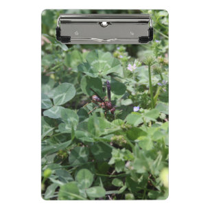Wasp Clipboards