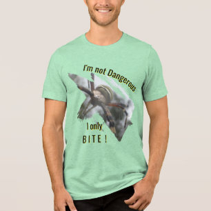 Wasp Spider Close Up Fun T-Shirt Tri-Blend Shirt