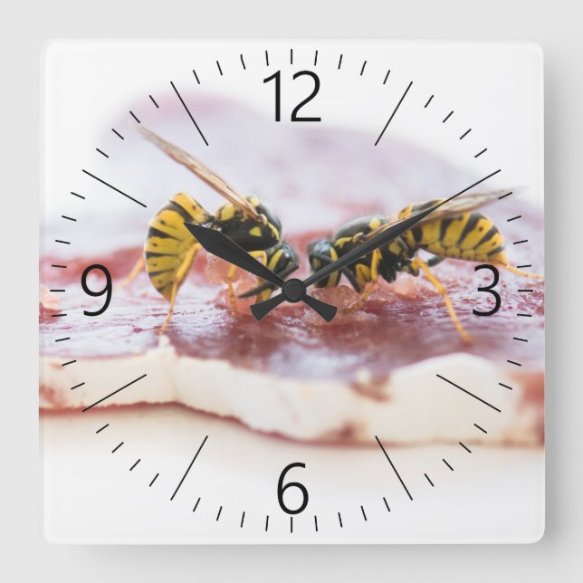 Wasps eating a sausage square wall clock (Front)