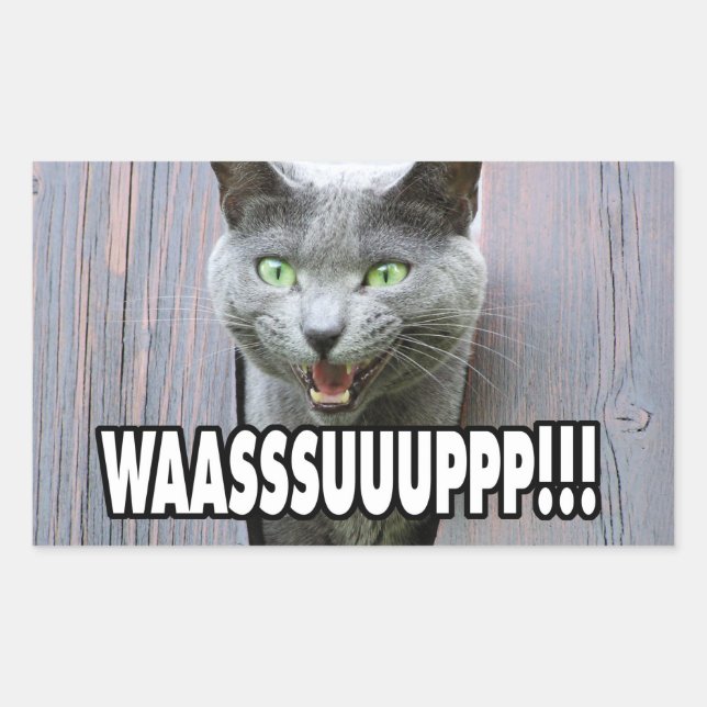 WASSUP - Cat Meme Sticker (Front)