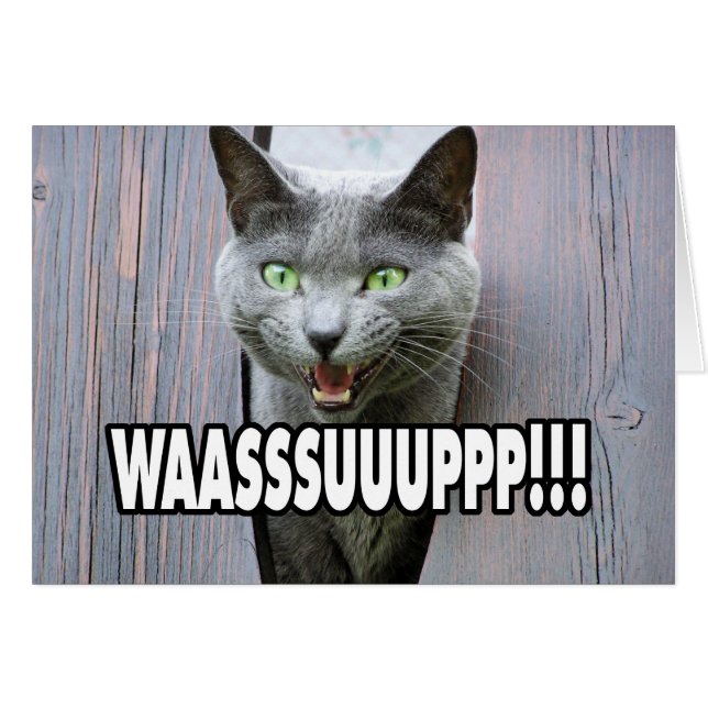 WASSUP - Chat Meme (Devant horizontal)