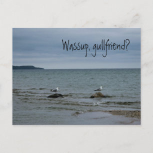 Wassup, gullfriend? postcard
