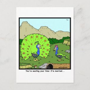 Wasting your time: Peacock Cartoon Postcard