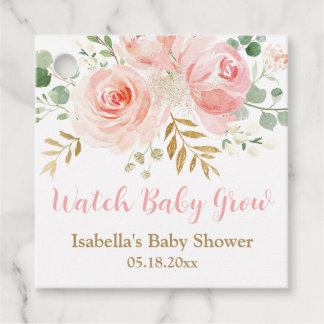 Watch Baby Grow Succulent Favour Tags, Baby Shower Tags
