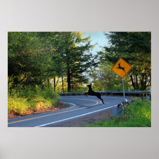 Watch for Deer Poster