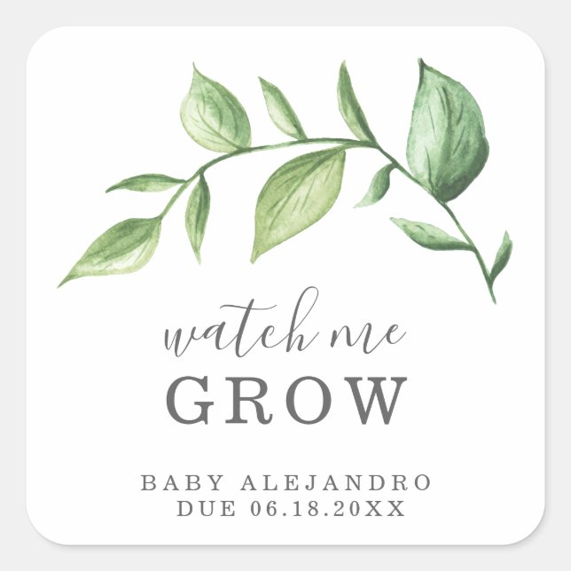 Watch Me Grow Rustic Elegant Greenery Baby Shower Square Sticker (Front)