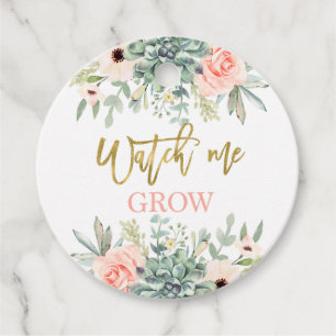 Watch me grow succulents favour tags