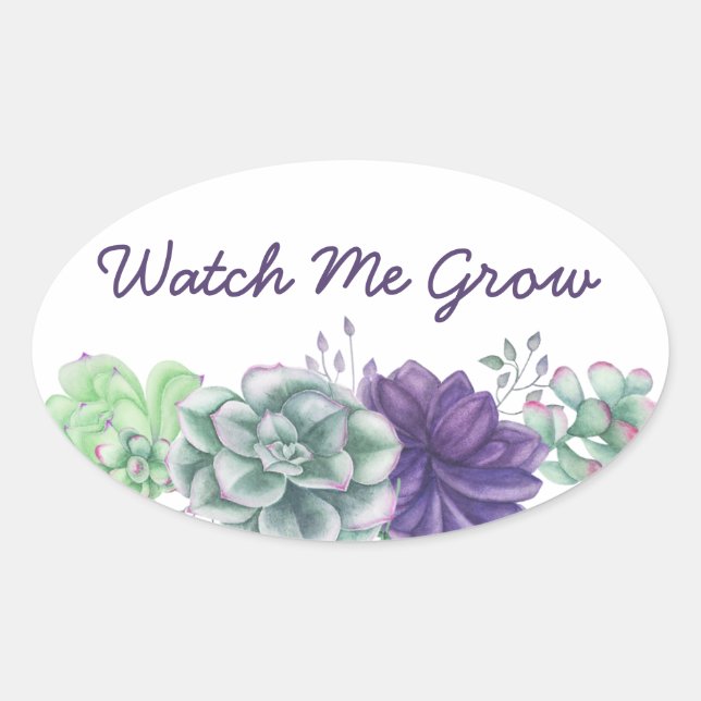 Watch Me Grow Watercolor Succulents Botanical Oval Sticker (Front)
