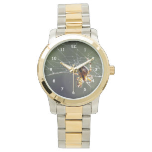 Watch - Spider on Web