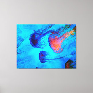 Watch the Flow of the Jelly Glow Canvas Print
