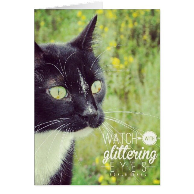 Watch with Glittering Eyes Cat (Front)