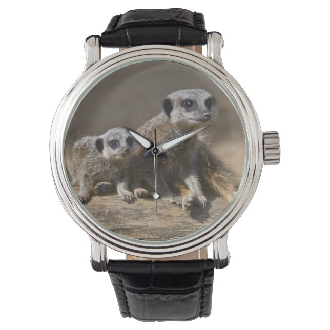 Watch with Mother Watch (Front)