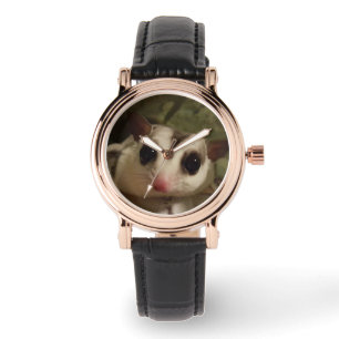 Watch with sugar glider