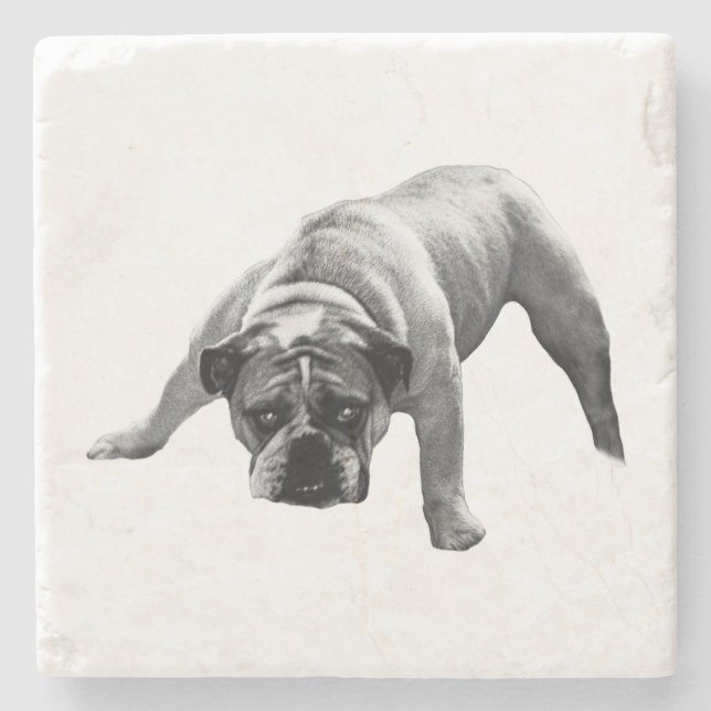 Watchful Bulldog Coaster (Front)