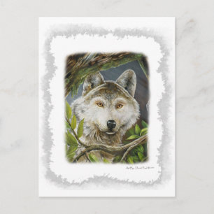 Watchful Eyes Postcard