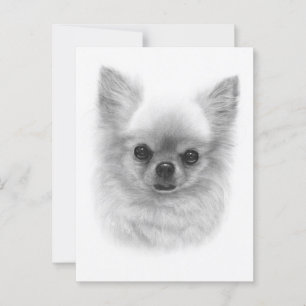 Watchful Queen -  Hand Painted Chihuahua Art Postcard