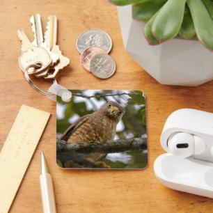 Watchful Raptor, Roadside Hawk Keychain