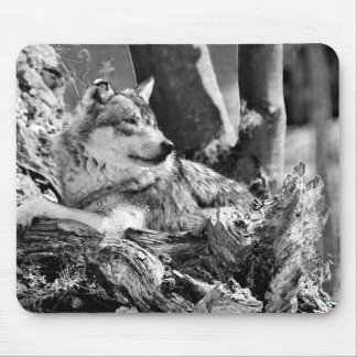 watchful wolf mouse pad