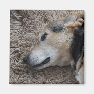 Watching Every Move Magnet