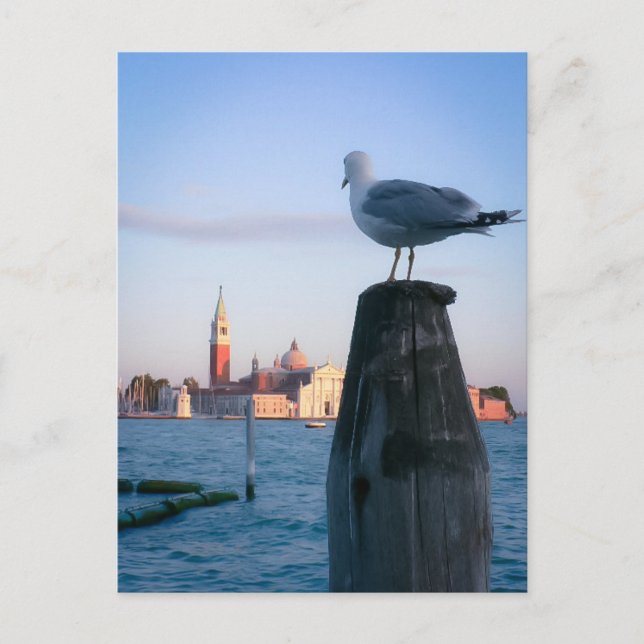 Watching for gondalas in Venice Postcard (Front)